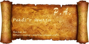 Pekár Anetta névjegykártya